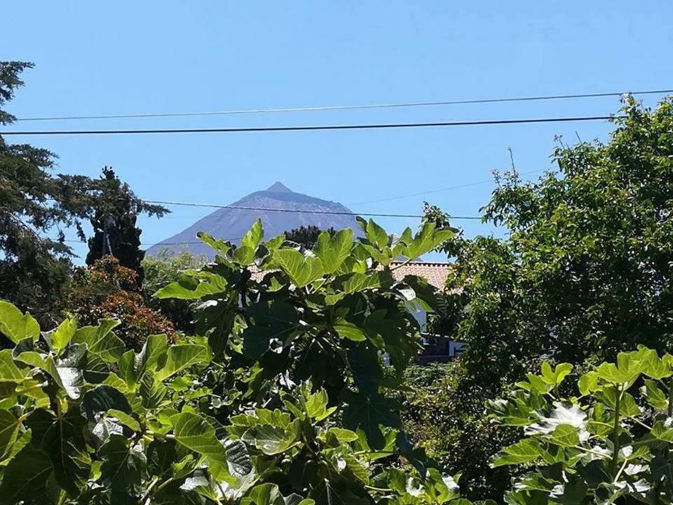 Casinha de Pedra Cais do Pico Exterior foto